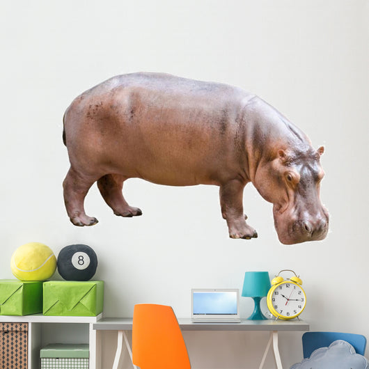 Hippopotamus Wall Decal