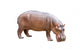 Hippopotamus Wall Decal