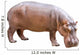 Hippopotamus Wall Decal