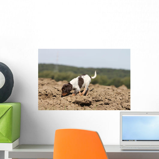 Pagneul Breton Olfaction Odorat Wall Decal