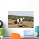 Pagneul Breton Olfaction Odorat Wall Decal
