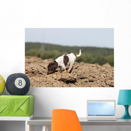 Pagneul Breton Olfaction Odorat Wall Decal