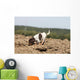 Pagneul Breton Olfaction Odorat Wall Decal