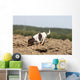 Pagneul Breton Olfaction Odorat Wall Decal