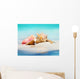 Queen Conch Shells Beach Wall Decal