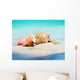 Queen Conch Shells Beach Wall Decal