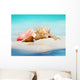 Queen Conch Shells Beach Wall Decal