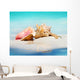 Queen Conch Shells Beach Wall Decal