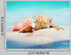 Queen Conch Shells Beach Wall Decal