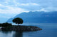 Tree Geneva Lake 01 Wall Decal