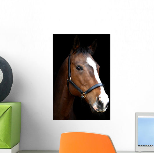 Bay Horse Head against Black Wall Decal