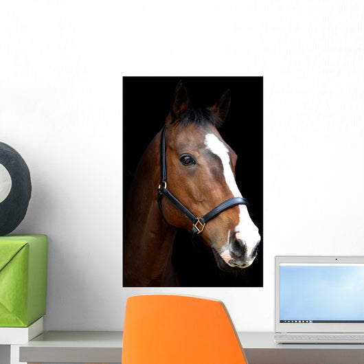 Bay Horse Head against Black Wall Decal