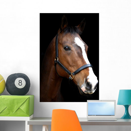 Bay Horse Head against Black Wall Decal