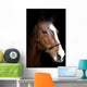 Bay Horse Head against Black Wall Decal