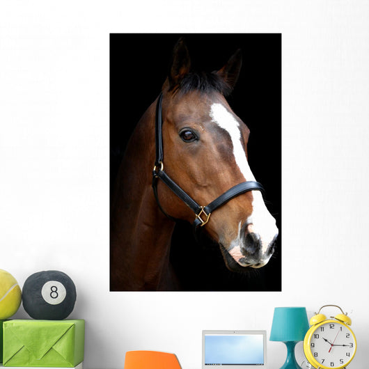 Bay Horse Head against Black Wall Decal