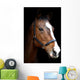 Bay Horse Head against Black Wall Decal