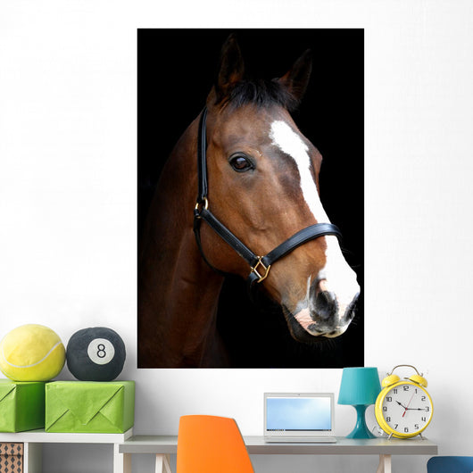 Bay Horse Head against Black Wall Decal