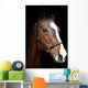 Bay Horse Head against Black Wall Decal
