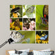 Butterfly Collage Wall Decal