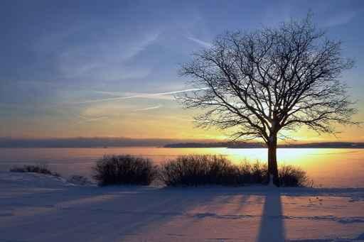 Winter Sunset Wall Decal