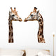 Two Giraffes Wall Decal