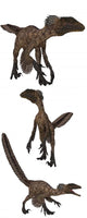 Deinonychus Wall Decal