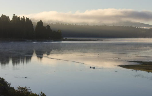 Misty Morning Sunrise Lake Wall Decal
