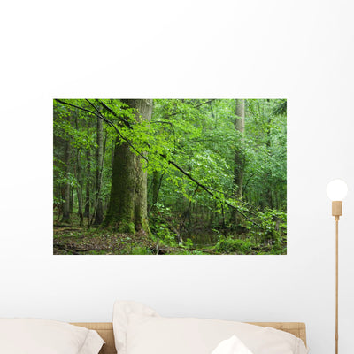 Oak and Small Forest Wall Decal shown on a wall