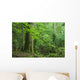 Oak and Small Forest Wall Decal