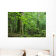 Oak and Small Forest Wall Decal