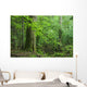 Oak and Small Forest Wall Decal