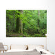Oak and Small Forest Wall Decal