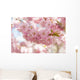 Sakura Cherry Tree Blossom Wall Decal