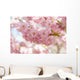 Sakura Cherry Tree Blossom Wall Decal