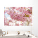 Sakura Cherry Tree Blossom Wall Decal