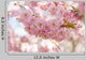 Sakura Cherry Tree Blossom Wall Decal