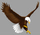 Eagle Flight Wall Decal