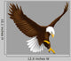 Eagle Flight Wall Decal