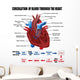 Circulation Blood through Heart Wall Decal