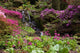 Bodnant Gardens Wall Decal