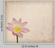 Lotus Old Antique Vintage Wall Decal