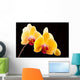Beautiful Yellow Orchids Black Wall Decal