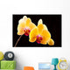 Beautiful Yellow Orchids Black Wall Decal