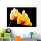 Beautiful Yellow Orchids Black Wall Decal