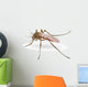 Mosquito Wall Decal