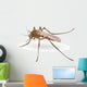Mosquito Wall Decal