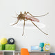 Mosquito Wall Decal