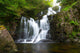 Torc Waterfall Killarney National Park - Horiztonal Wall Decal