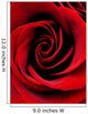 Red Rose Close-up Wall Decal