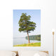 Lonely Pine Wall Decal